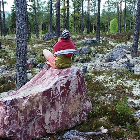 12 - Fulufjellets Nasjonalparker - Natur-, Dyre- Og Fugleopplevelser Ljørdal Eksteriør billede