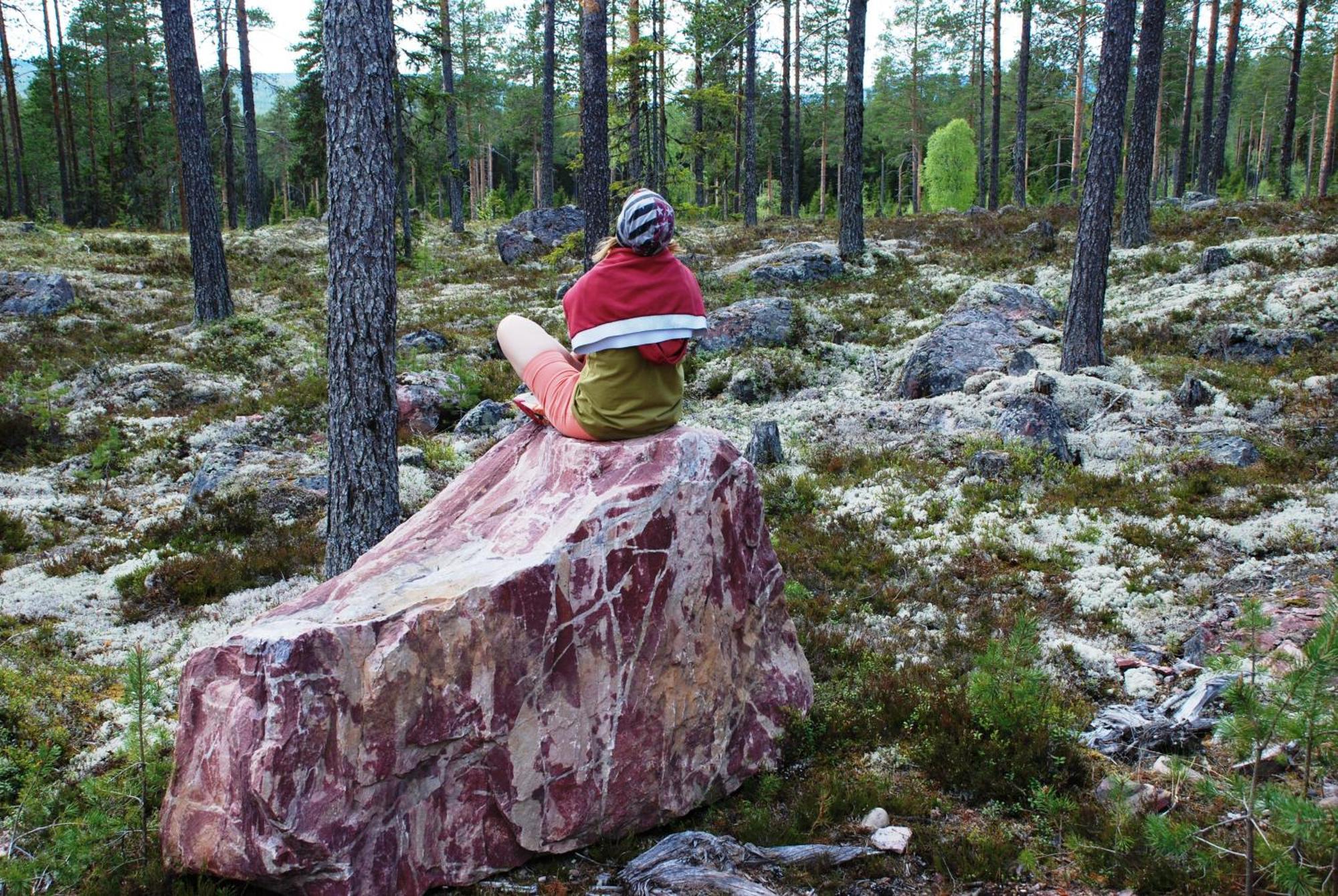 12 - Fulufjellets Nasjonalparker - Natur-, Dyre- Og Fugleopplevelser Ljørdal Eksteriør billede