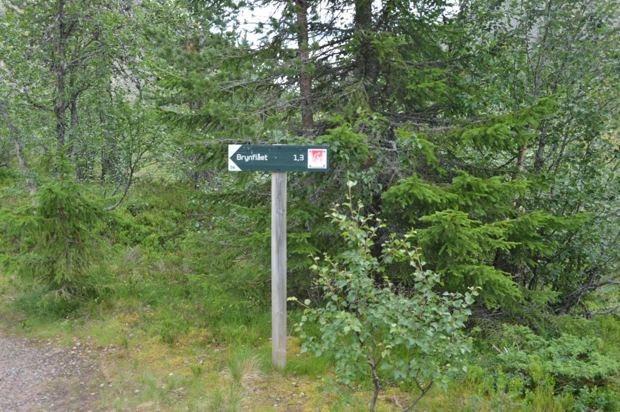 12 - Fulufjellets Nasjonalparker - Natur-, Dyre- Og Fugleopplevelser Ljørdal Eksteriør billede