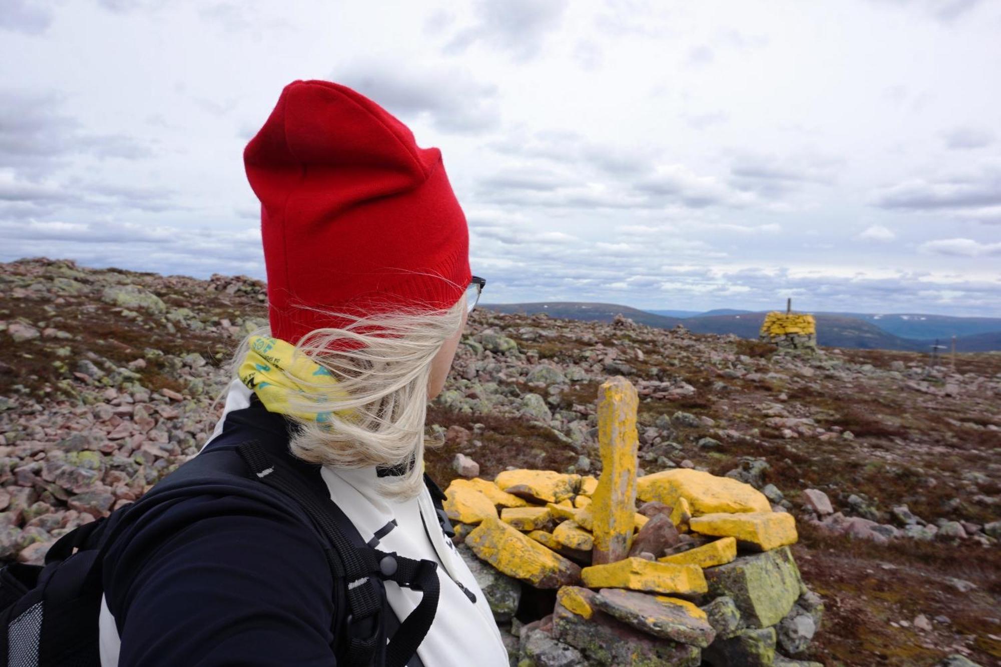 12 - Fulufjellets Nasjonalparker - Natur-, Dyre- Og Fugleopplevelser Ljørdal Eksteriør billede