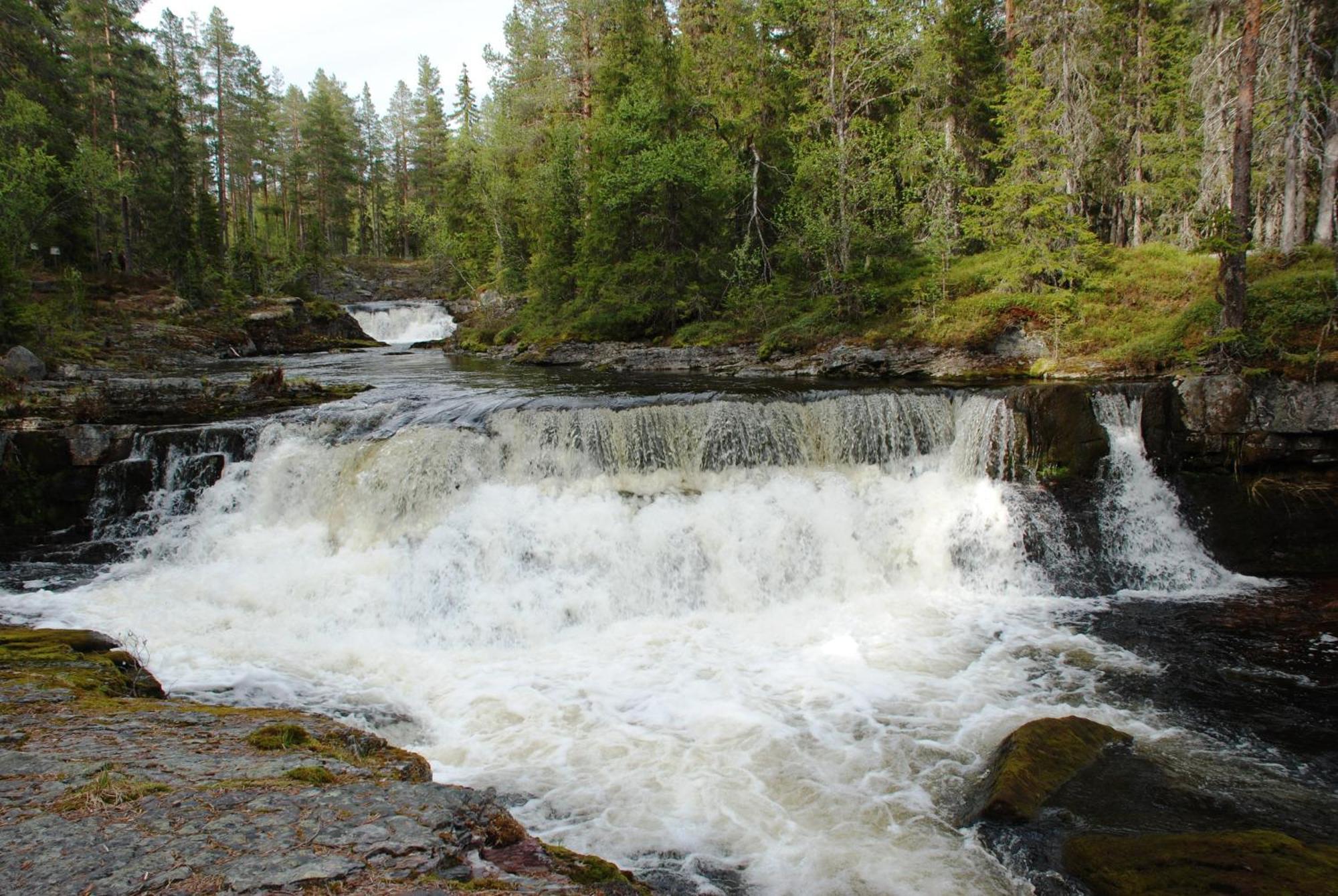 12 - Fulufjellets Nasjonalparker - Natur-, Dyre- Og Fugleopplevelser Ljørdal Eksteriør billede