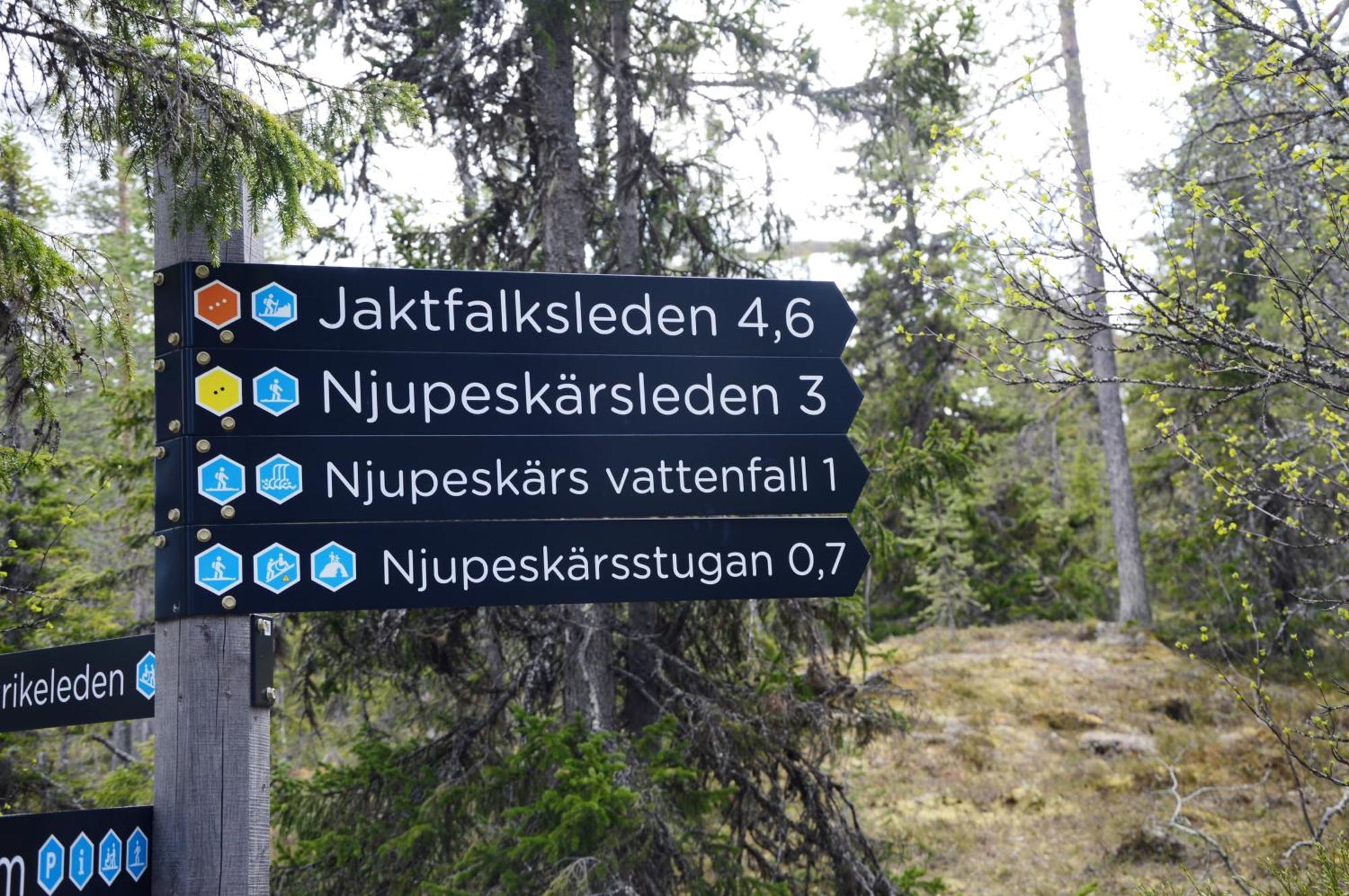 12 - Fulufjellets Nasjonalparker - Natur-, Dyre- Og Fugleopplevelser Ljørdal Eksteriør billede